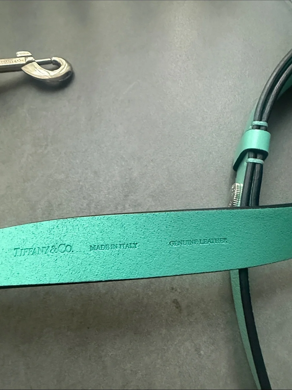 Tiffany Leather Dog Leash and Collar Set. XS colar size.